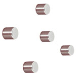 Sigel BA700 Neodym magnet cylinder silver 10mm x 10mm pack of 5