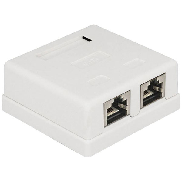 Delock 86269 Network Outlet Flush Mount Cat 6 2 Ports White