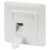 Digitus DN-93831 Fasteners Insert