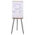 Legamaster 7-153800 SKETCH INFINITE Flipchart Tripod 81x205cm Magntic Whiteboard
