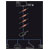 LINDY 42781 USB hub 4 ports USB type A USB 2.0 480 MBit/s + built-in repeater