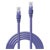 LINDY 48121 RJ45 Network cable, patch cable CAT 6 U/UTP 0.50 m Violet 1 pc(s)