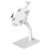 Neomounts DS15-625WH1 Tablet PC mount Universal 20,1 cm (7,9) - 27,9 cm (11)