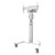 Neomounts FL50S-825WH1 Mobile Floor Stand for 37-75 Screens up to 70kg White