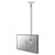 Neomounts FPMA-C050SILVER TV Ceiling Mount 10-30 Tilt Swivel 60-85cm Silver