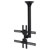 Neomounts FPMA-C400BLACK TV Ceiling Mount 32-60 Tilt/Swivel 64-104 cm Black