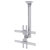 Neomounts FPMA-C400SILVER TV Ceiling Mount 32-60 35kg Tilt/Swivel Silver