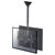 Neomounts NM-C440DBLACK Dual TV Ceiling Mount 32-60 Tilt/Swivel Black