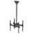 Neomounts NM-C440DBLACK Dual TV Ceiling Mount 32-60 Tilt/Swivel Black