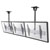 Neomounts NMPRO-CMB3 Monitor Ceiling Mount 32-55 Black Tiltable 3 Screens