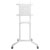 Neomounts NS-M1250WHITE Mobile TV Floor Stand for 37-70 Screens 70kg White