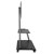 Neomounts NS-M4000BLACK TV Trolley for 60-105 Screens, Max 150kg, Black