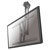 Neomounts PLASMA-C100 TV Ceiling Mount 37-75 50kg Tilt/Swivel Height Adj.