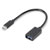 Renkforce RF-4455819 USB 3.2 1st Gen USB-C to USB-A OTG Cable 0.15m Gold Plated