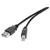 Renkforce RF-4463067 USB 2.0 Cable USB-A to USB-B 0.5m Black Gold Plated