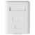 Renkforce RF-4473849 1 port Network outlet Surface-mount CAT 6 KSV-ND10 White