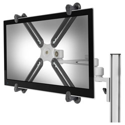 Displays & Mounts