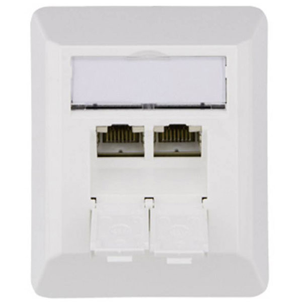 Telegartner 100023002 AMJ45 Network Outlet Surface-Mount Cat.6A 2-...