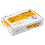 LEGO Education 45521 LEGO Education Computer Science & AI Kit 4-6