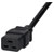 TruConnect C19 to Cut End 2.5m