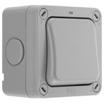 BG WP30 Wp30 Weatherproof 20AX 1 Gang Double Pole Switch