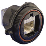 Bulgin PX0833 Buccaneer RJ45 Panel Mount Ethernet Connector IP68