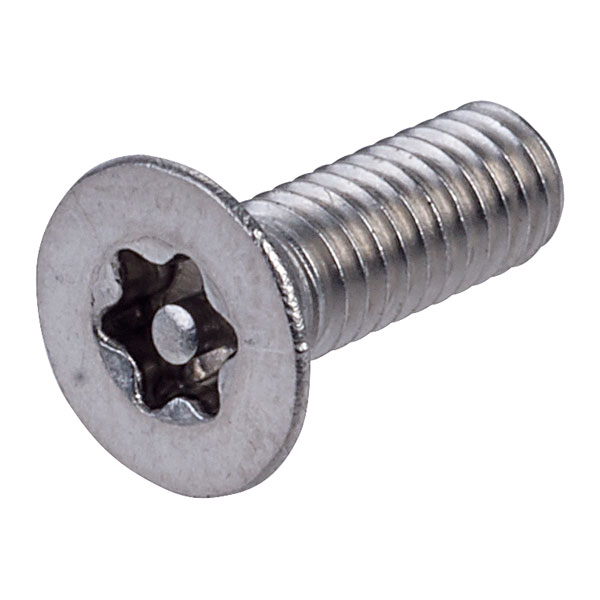  Security Screw Csnk Head Pin Recess T Drive T20 A2 S/S M4 12mm PK100