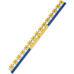 Classmaster Pack 10 Swäsh Early Learning Rulers