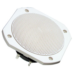 VISATON 2102 FRS 10 WPWhite Salt Water Resistant Speaker 4 Ohm