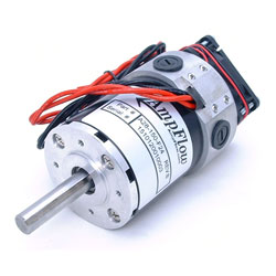 Ampflow A28-150-F24 3 24V Motor