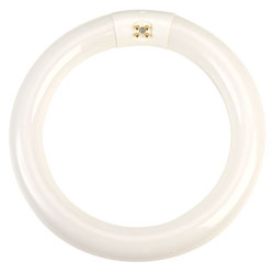 RVFM 22W Circular Fluorescent Tube 212mm