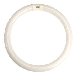 RVFM 32W Circular Daylight Tube 305mm