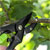 Sealey GTSG002 Anvil Secateurs with Soft Grip Handle, Safety Lock