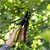 Sealey GTSG005 Anvil Secateurs with Soft Grip Handle, 3-Stage Saf