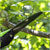 Sealey GTSG006 Folding Pruning Saw with Soft Grip Handle, 2 Cutti