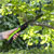 Sealey GTSG006 Folding Pruning Saw with Soft Grip Handle, 2 Cutti