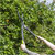 Sealey GTSG018 Hedge Shears with Soft Grip Handle & Carbon Steel Blade