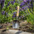 Sealey GTWH006 Premier Garden Scoop with Ash Handle & Stainless Steel Head