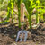 Sealey GTWH007 Premier Garden Hand Fork with Ash Handle & Stainless Steel Tines