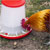 Sealey AFT03 Poultry Feeder 3kg