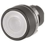 EAO 46-2231.11N0.000 Guarded push-button, illuminated, white