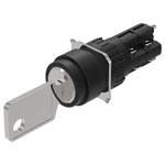 EAO 51-236.025D2 Keylock Sw 2 posn main SA 2NC+2NO ST D18 gold/silver A 311