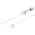 ESKA 121000G Clip On Cap For G Fuses 5mm