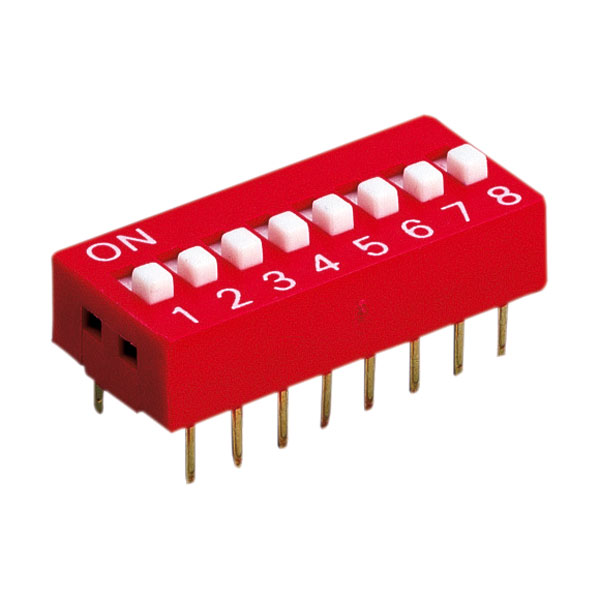  Code Switches DS-02V 2-pole