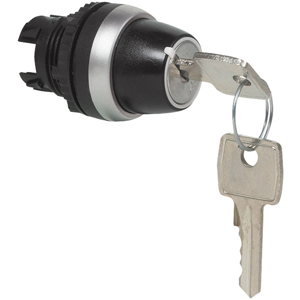  L21LG00 Non-illuminated Key Switch