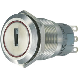 White Label SH1296 Key Switch, 2x 45° Switching Angle