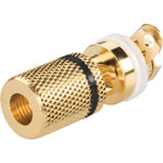 Gold Plated Mounted Socket Insulated with colour coding Black 103034 BKL Elect