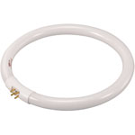 Toolcraft 821665 T5 22W G10q Fluorescent Ring Shape Bulb - 185mm Diameter