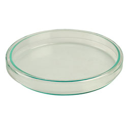 Rapid Petri Dishes 100 x 15mm - Pack of 18