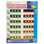 Prepared Micro-slides Pack of 12